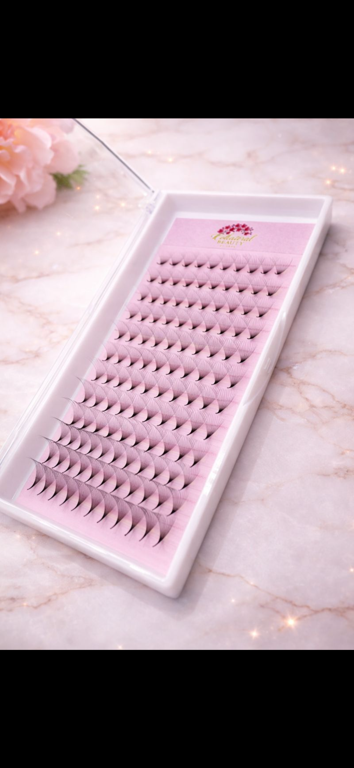 Lash Trays 🌸