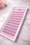 12D collateral pro volume promade mixed tray