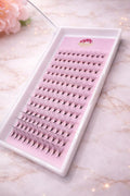 16D collateral pro volume promade mixed tray