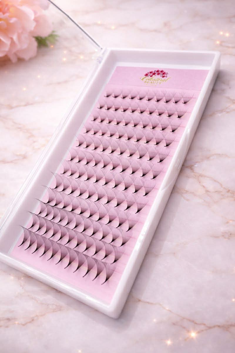 16D collateral pro volume promade mixed tray