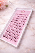 10D collateral pro volume promade mixed tray