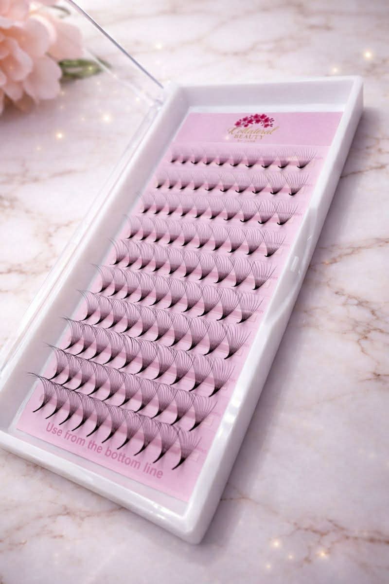 8D collateral pro volume promade mixed tray